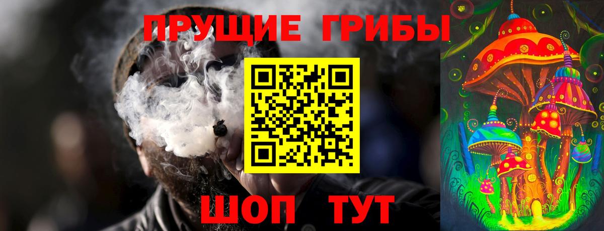 Псилоцибиновые грибы GOLDEN TEACHER  Вход с VPN  Ростов Великий 